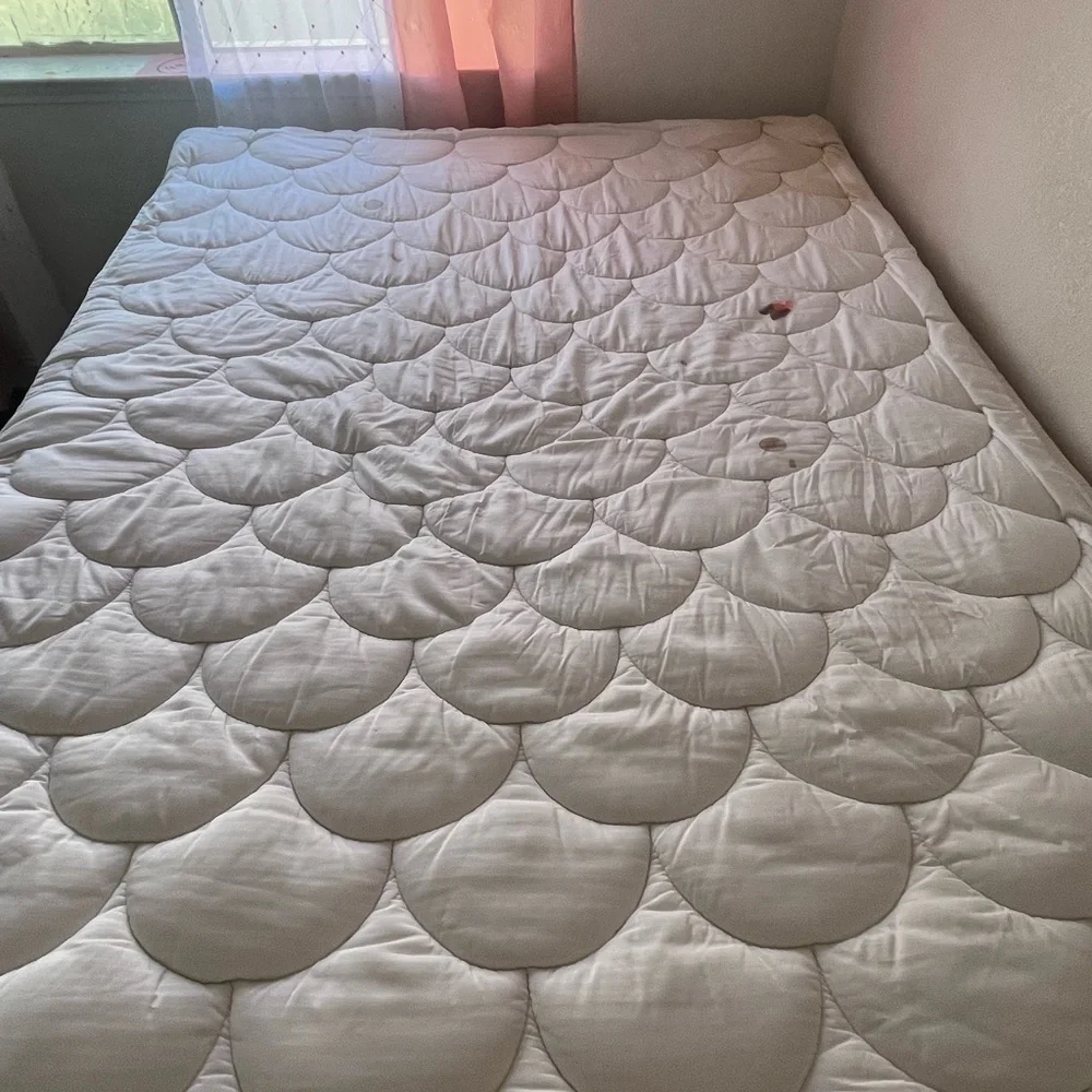 Queen Sized Bed For Sale!